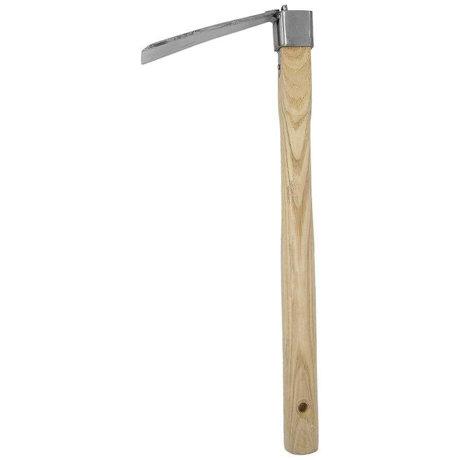 Amazon.com : Zenport J602 Forged Hoe, 3.25-Inch by 6-Inch